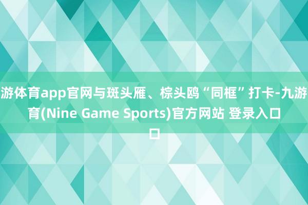 九游体育app官网与斑头雁、棕头鸥“同框”打卡-九游体育(Nine Game Sports)官方网站 登录入口
